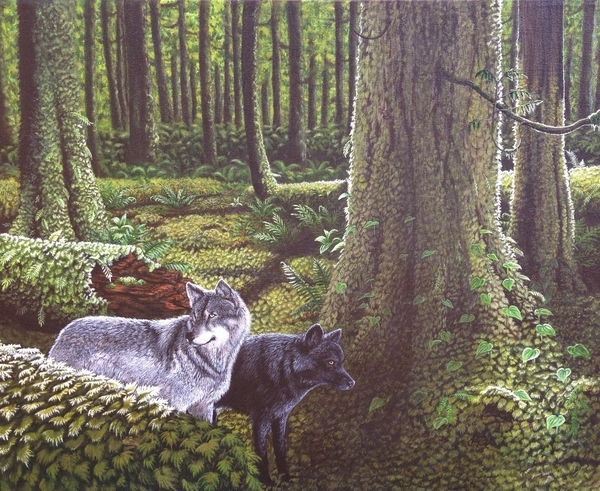 Shadow and Light (2015)